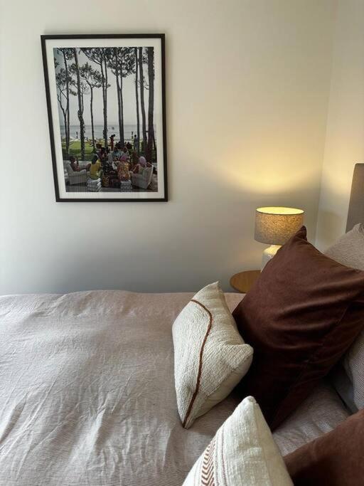 Woolshed 17 - Self Catering Accommodation 北哈夫洛克 外观 照片